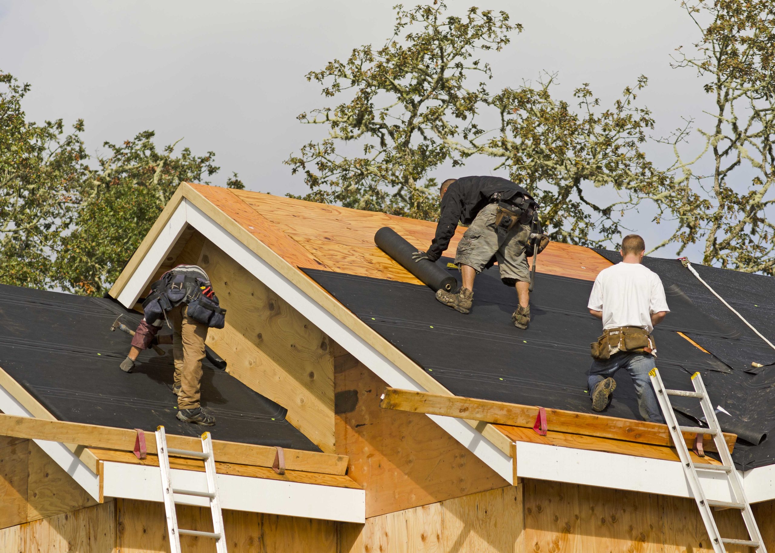 Professional roofers in Brunswick